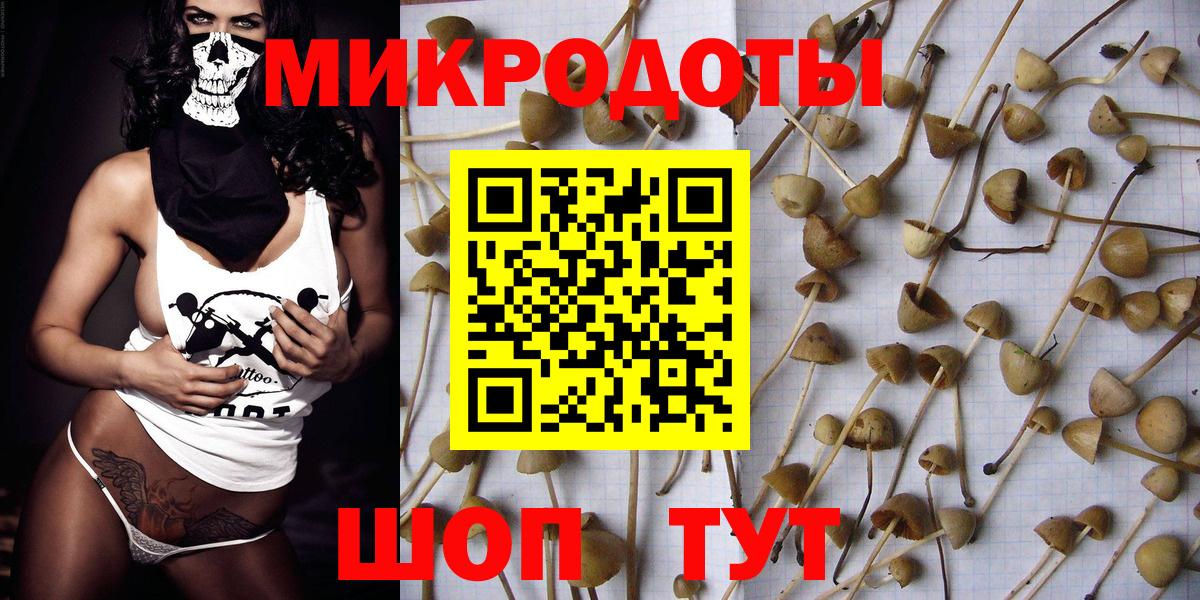 Псилоцибиновые грибы Psilocybine cubensis Электросталь